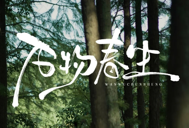 女神節(jié)特輯|在山野間為她造一場(chǎng)浪漫之夢(mèng)